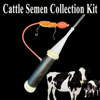 1SET Galvijų Spermos Surinkimo Rinkinys Dirbtinės Inseminatio2 Spermos Rinkti Prietaiso Karvė Bovide Jautis Jautis Ranch Veterinarijos Įrankiai, Reikmenys