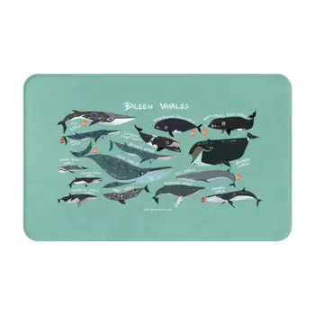 Baleen Banginiai Minkšta Pėdos Padas Kambarys Prekių Kilimas Kilimas Baleen Banginis Mielas Juokingas Humoro Wildlife Gamtos Mokslų Zoologijos Rūšių Jūros