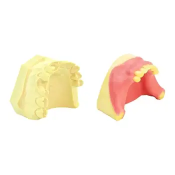 Dantų Mokymo Dantų Modelį, Dantų Implantai Praktikos Modelį, Viršutinio Žandikaulio Sinuso Kėlimo Pratimai Modelį, Dantų Priemonė Dviejų Tipų