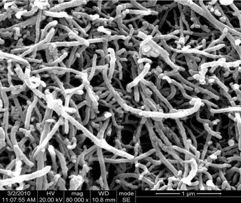 Didelio skersmens anglies nanovamzdelių dispersija/anglies nanovamzdelių vandeninė dispersija