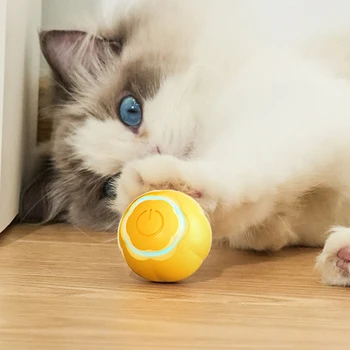 Interaktyvi Katė Kamuolys su LED Žibintai, Bite Atsparus Smart Kačių Žaislai Braižymo Kamuolį, Mažos ir Vidutinės Augintiniai Naudotis Pramogos
