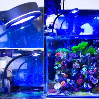 K5DC Jūrų Akvariumas LED Šviesos Augalų Auginimo už Rifas-Tankai Jūros Koralų, Žuvų, Jūrų LED lempa 12W Apšvietimas