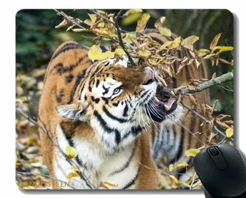 Pelės Padas Neslystantis,Tigras Predator Big Cat 172379 Pelės Kilimėlis Su Prisiūta Kraštas